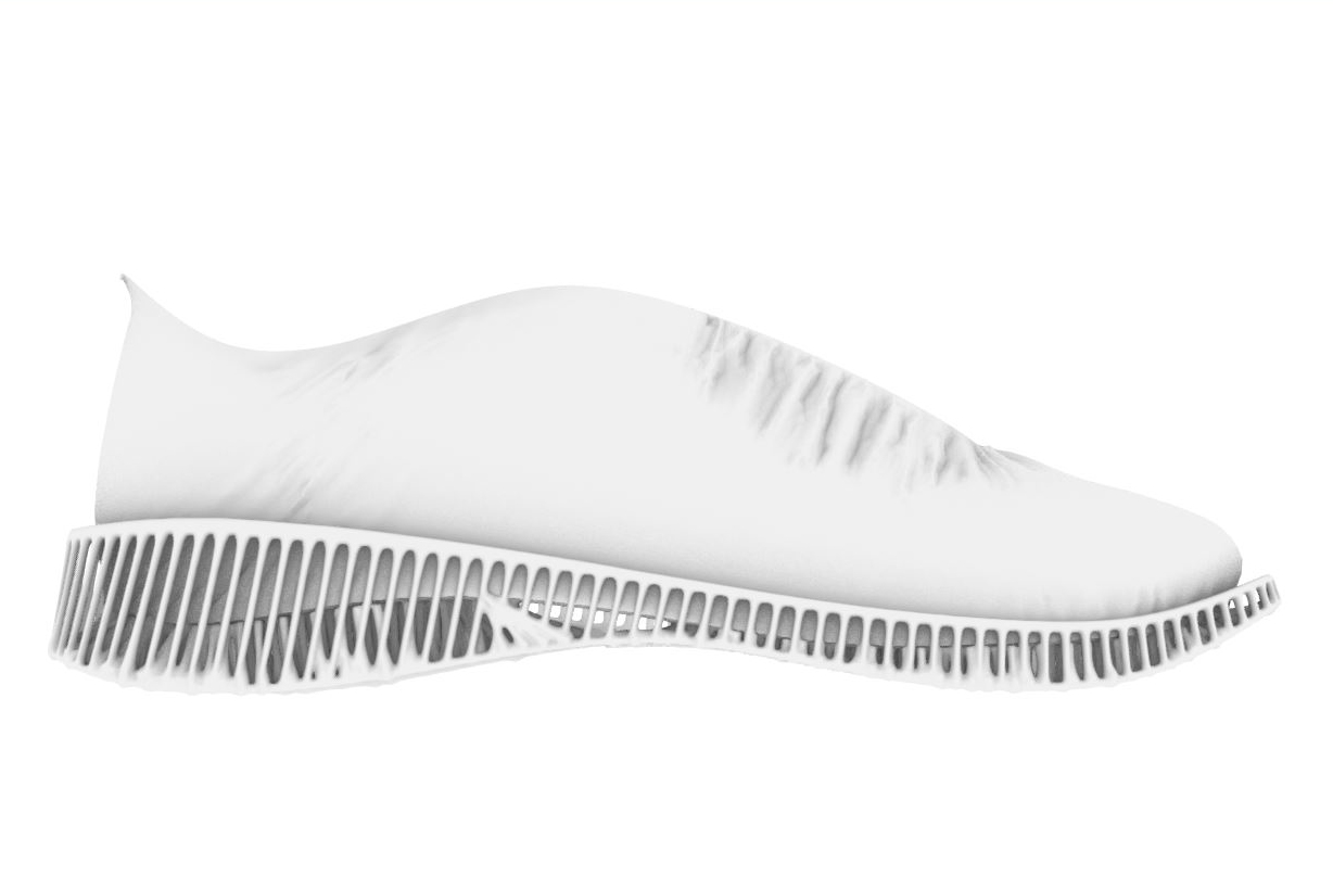 shoedev_rhino007